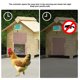 thumbnail image 4 of Controlador Auticú de Puerta de Gallinero Temporizador Control Remoto Pantalla LED FUENTE DE ALIMENTACIÓN Dual IP44 Impermeable, Adecuado Para Pollos, Patos, Gansos, 4 of 7