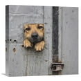 thumbnail image 1 of Global Gallery Knartist,'Benji's Window Ii' Stretched Canvas Artwork, 1 of 3