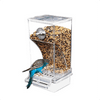 Automatic Splash Proof Bird Feeder Bird Cage Accessories Parakeet Duck Food Container