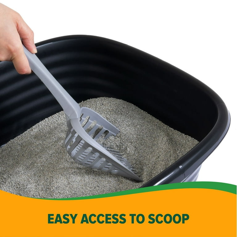 Arm &amp; Hammer Plastic Open Top Cat Litter Box, Small Pan 