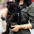thumbnail image 6 of QJUHUNG Portable Pet Dog Cat Backpack Carriers, Light Weight Mesh Travel Bag Legs Out Front Padded Chest Bag, Black/S, 6 of 7