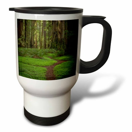 3drose, Usa, California, Jedediah Smith Redwoods State Park. Redwood Trees., 14oz Stainless Steel Travel Mug