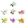 thumbnail image 4 of Kearding 5X flor artificial planta falsa decoración de la boda mano de obra tamaño compacto atractivo arreglo duradero jardín rosa Type2 NO2, 4 of 6