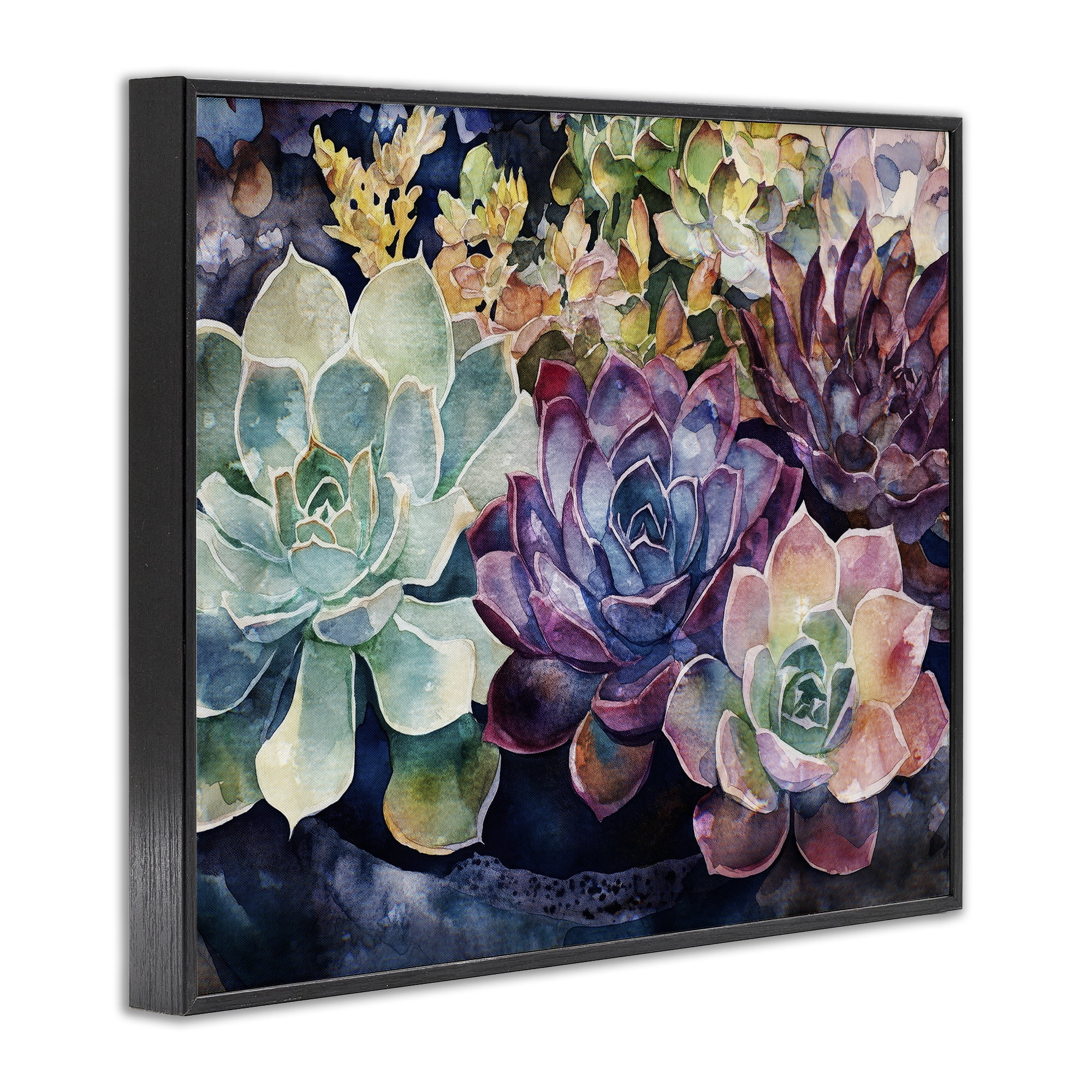 Stupell Industries Tutti Succulents Collection Black Framed Giclee Art, design by Svetlana Aleynikova