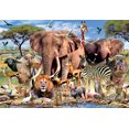 thumbnail image 4 of Ceaco 2000-Piece African Plains Interlocking Jigsaw Puzzle, 4 of 9