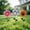 Multicolor, variant on Colorful Metal Flower Garden Stakes, 3-Pack Decorative Outdoor Yard Art, Waterproof Floral Ornaments for Lawn, Patio, Flower Bed & Spring Decor
