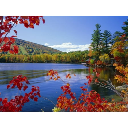 Fall Colours, Moose Pond, with Mount Pleasant in the Background, Maine, New England, USA Print Wall Art By Roy