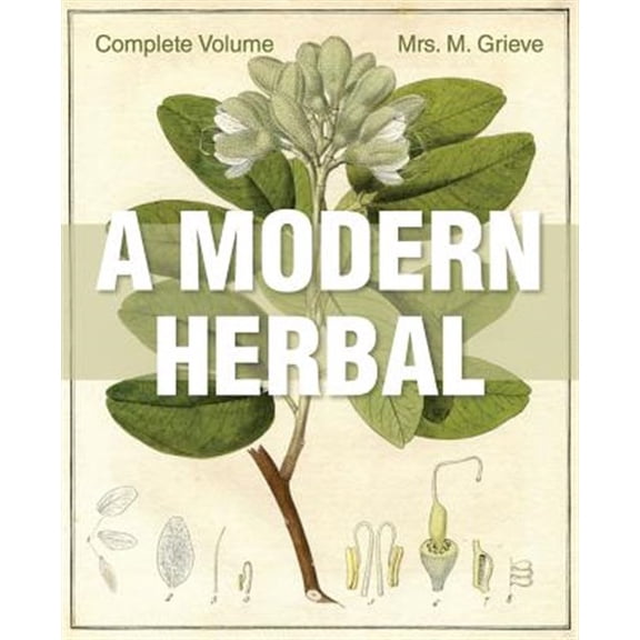 Pre-Owned A Modern Herbal: The Complete Edition (Paperback) by Margaret Grieve