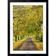 thumbnail image 5 of Art.com Avenue of autumn beech trees with colourful yellow leaves, Newbury, Berkshire, England Photographic Print by Stuart Black, Black Frame Wall Art, 32" x 44", 5 of 5