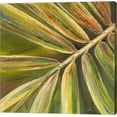 thumbnail image 1 of Green Close Up II by Patricia Pinto, Canvas Wall Art, 1 of 1