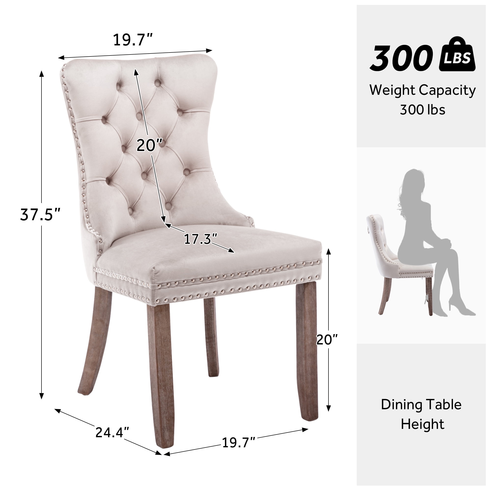 DONICK Velvet Beige Upholstered Dining Chairs Set of 2, Kitchen & Dining Room Chairs Nailheads Tufted Soft Solid Wood Frame