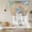 Brown, variant on Seahorse Coastal Balloon Curtains for Windows, Bedroom Curtains 54 Inch Length, Summer Nautical Starfish Coral Ocean Tie Up Curtains Panels Thermal Insulated Bathroom Curtains Window 42"x54"
