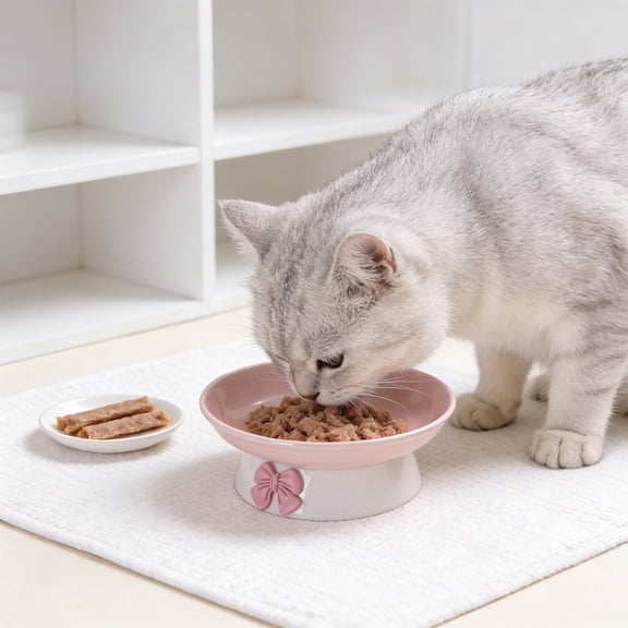 FEOLGEHLY Slow Feed Raised Ceramic Pet Bowl, Non Slip Anti Tip Neck Protect Elevated Food Water Snack Feeding Bowl Universal Dining Bowl for Small Dogs and Indoor Cats Home Pet Accessories