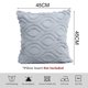 thumbnail image 2 of Funda de almohada decorativa de 18x18 pulgadas con juego de 2 piezas de funda de almohada para sofá de imitación de felpa suave, 2 of 5