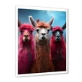 thumbnail image 2 of Designart "Pink Alpaca Wool Artistry" Animals Framed Wall Art - Traditional Pink Alpaca Living Room Framed Canvas Art, 2 of 6