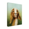 thumbnail image 4 of Trademark Fine Art 'Got Your Goat ' Canvas Art by Julia Purinton, 4 of 4