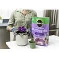 thumbnail image 3 of African Violet Potting Mix, 8qt, 2-Pack, 3 of 3