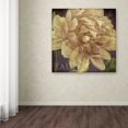 thumbnail image 4 of Trademark Fine Art "Jaune" Canvas Art by Color Bakery, 4 of 4