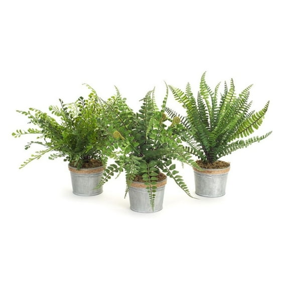 Melrose Artificial Fern Potted Plants - 14.5” - Set of 3