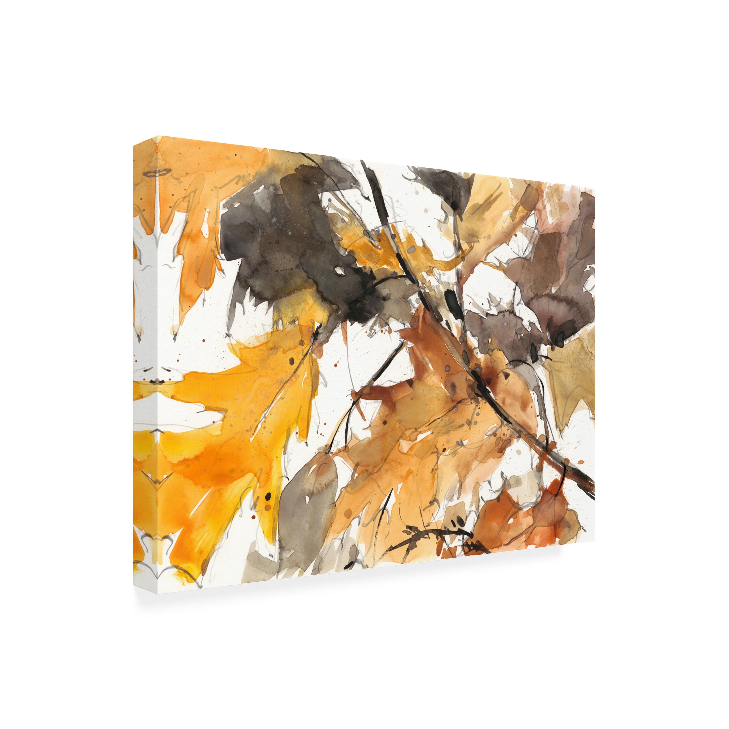 Samuel Dixon 'Watercolor Autumn Leaves I' Canvas Art
