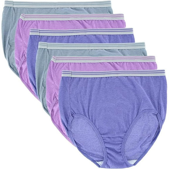 Fruit of the Loom Womens Plus Heather Assorted Brief Underwear, 6-Pack, Size 9 Plus-13 Plus