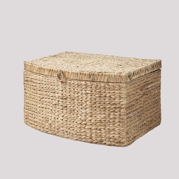 Ludmilla Rectangular Curve Water Hyacinth Woven Wicker Trunk with Handles - 26" x 19" x 14" - Natural Brown