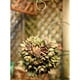 thumbnail image 3 of Canasta colgante de metal para macetas de flores de 4 piezas con gancho, suspensión de macetas de plantas de flores, cestas colgantes de suculentas pa DYNWAVEMX Maceta suculenta de alambre, 3 of 8
