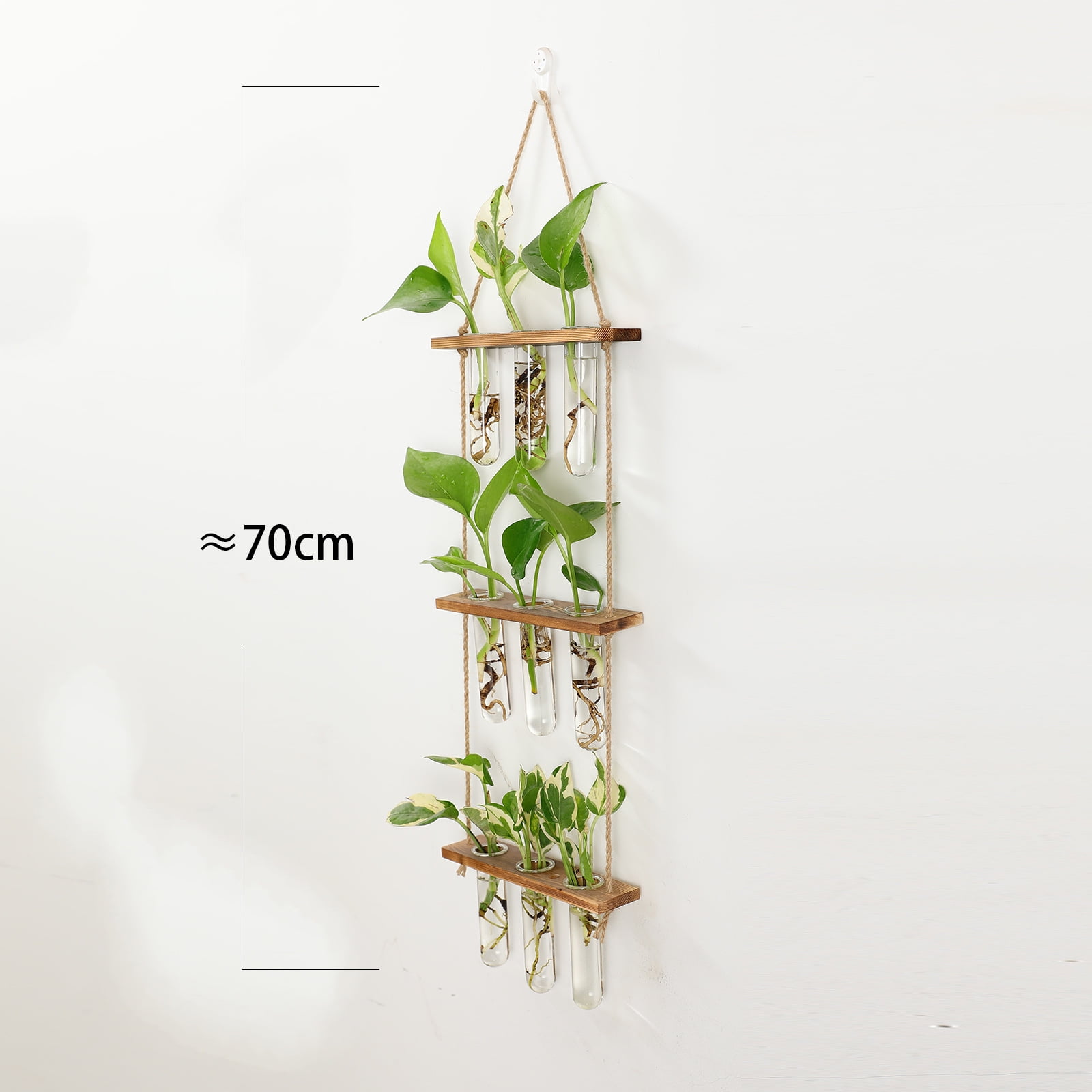 Egebert Hanging Plant Propagation Stations Tubes, Wall Glass Planter