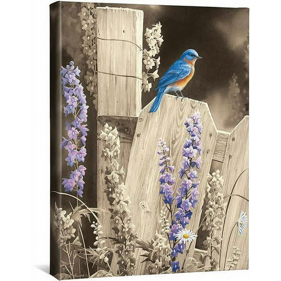 Back to Nature—Bluebird