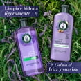 thumbnail image 5 of Shampoo Herbal Essences Anti-Frizz Lavanda & Aceite de Almendras 400 ml, 5 of 5