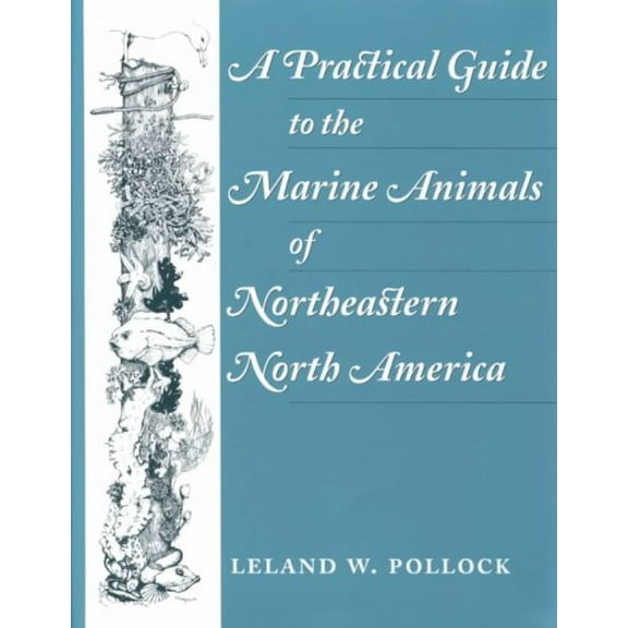 A Practical Guide to the Marine Animals of Northeastern North America (Paperback)