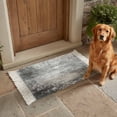 thumbnail image 6 of Area Rug with Tassels 2' x 3', Retro Gray Shabby Texture Kitchen Runner Rug for Hallway Bedroom Throw Rugs, Vintage Farm Abstract Art Soft Door Mat for Bathroom Entrance Living Room, 6 of 9