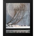 thumbnail image 2 of Photographie Collection 12x14 Black Modern Framed Museum Art Print Titled - Luminescence, 2 of 5