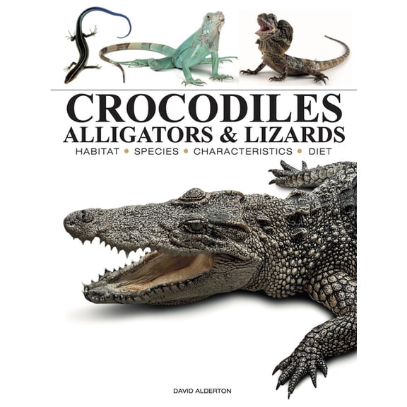 Mini Encyclopedias Crocodiles, Alligators & Lizards: From Black Caimans to Komodo Dragons, (Paperback)