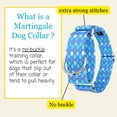 thumbnail image 3 of Country Brook Petz® 1 1/2 inch Mermaid Scales Martingale Dog Collar, Extra Large, 3 of 7