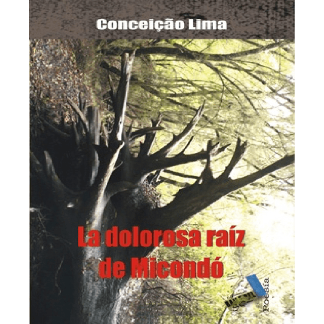 La dolorosa raíz de Micondó Baile Del Sol Pasta Blanda