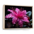 thumbnail image 2 of Designart "Vivid Fuchsia Blooms Nature s Splendor I" Floral Floater Framed Canvas Wall Art, 2 of 7