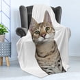 thumbnail image 4 of Kitty Soft Flannel Fleece Throw Blanket, Head Shot of a Cool Young Cat Facing Front, Cozy Plush for Indoor and Outdoor Use, 50" x 60", Dark Sand Brown White, by Ambesonne, 4 of 5