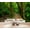 Color 4, variant on Wallpaper Serene Sunset Wooden Pier Calm Waters Peel and Stick Wall Murals 69"H x 96"W Removable PVC Wall Paper Self-Adhesive Wall Paintings Art Decor for Bedroom Living Room