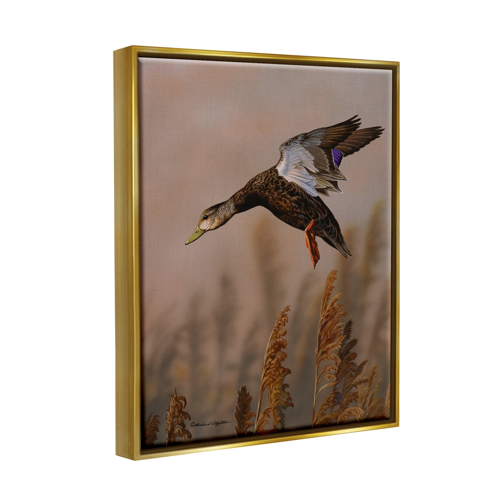 Stupell Industries Duck Flying Photography Animals & Insects Photography Gold Floater Framed Art Print Wall Art, 25 x 31