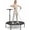 Black-50in, variant on SaveJoy 40'' Rebounder Trampoline for Adults, Mini Trampoline for Adults Kids, Exercise Workout Fitness Trampolines