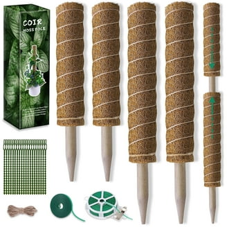 Mossify Bendable Moss Pole 3 Pack 30'',Monstera Plant Support - Natural  Forest Moss Poles for Climbing Plants - Flexible & Thin Plant Sticks for  Monstera Support - Indoor & Outdoor Plants Mosses