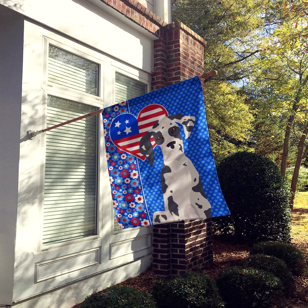 Harlequin Great Dane USA American Flag Canvas House Size