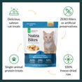 thumbnail image 3 of Ultimate Pet Nutrition Nutra Bites Wild Salmon for Cats, 3 of 6