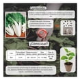 thumbnail image 3 of Semillas Acelga Vita, 3 of 5