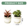 thumbnail image 2 of 2 uds simulación de plantas suculentas en macetas adornos creativos macetas de cemento de dos colores flores artificiales y plantas verdes, 2 of 5