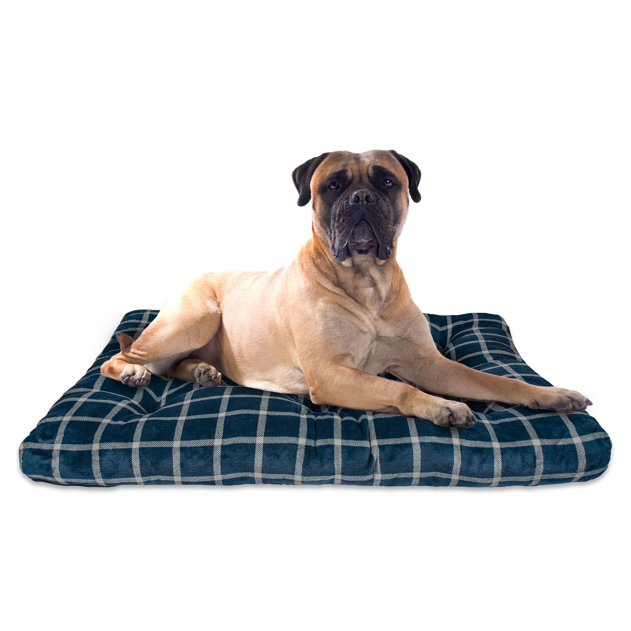Vibrant Life Extra Large Tufted Plush Dog Bed with Recycled Fiberfill, Blue Plaid