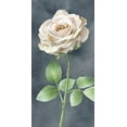 thumbnail image 2 of Wilson, Kelsey 11x18 White Modern Wood Framed Museum Art Print Titled - Ivory  Roses on gray panel I, 2 of 4