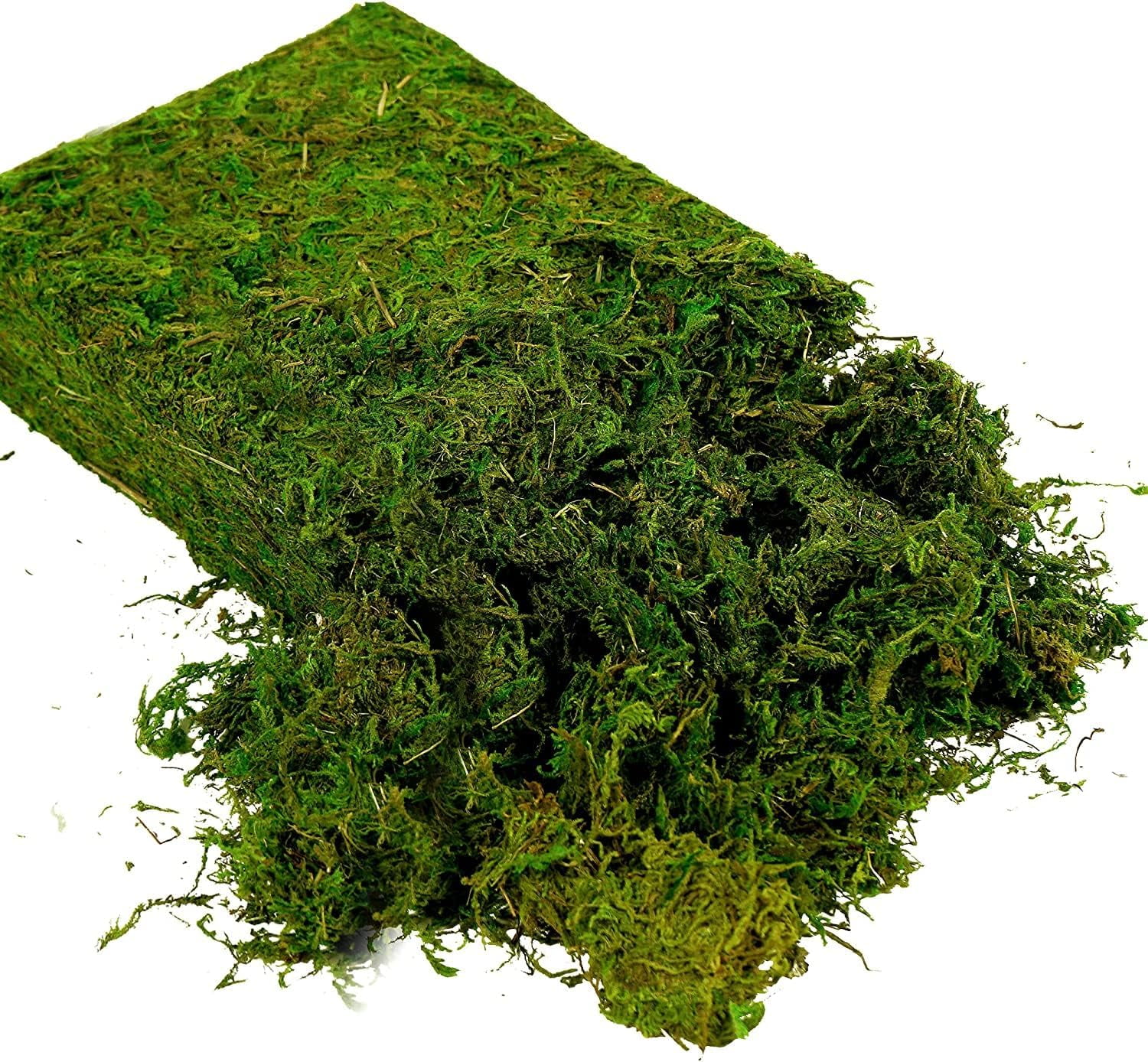 Artificial Moss 16oz – Fake Moss for Crafts, Fairy Gardens, Wedding & Party Decor, Centerpieces & Potted Plants (Fresh Green, 455g)