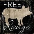 thumbnail image 3 of Villa, Mlli 20x20 Black Modern Framed Museum Art Print Titled - Free Range Pig, 3 of 5